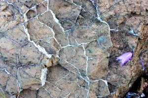 GrosMorneTablelands2473