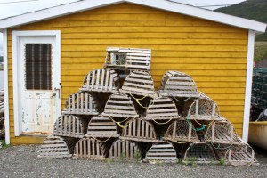 GrosMorneTroutRiver2410