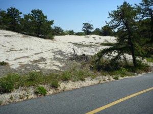 DunesBikeTrail564
