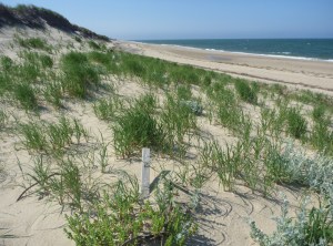 GreatIslandHikeBeach576