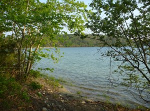 NickersonCliffPond544