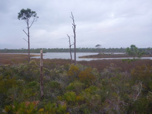PensacolaBigLagoon484