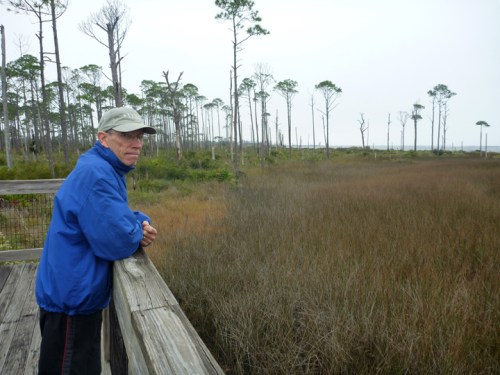 PensacolaBigLagoon491