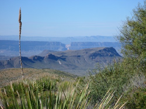 BigBend119