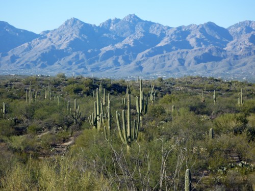 Tucson245