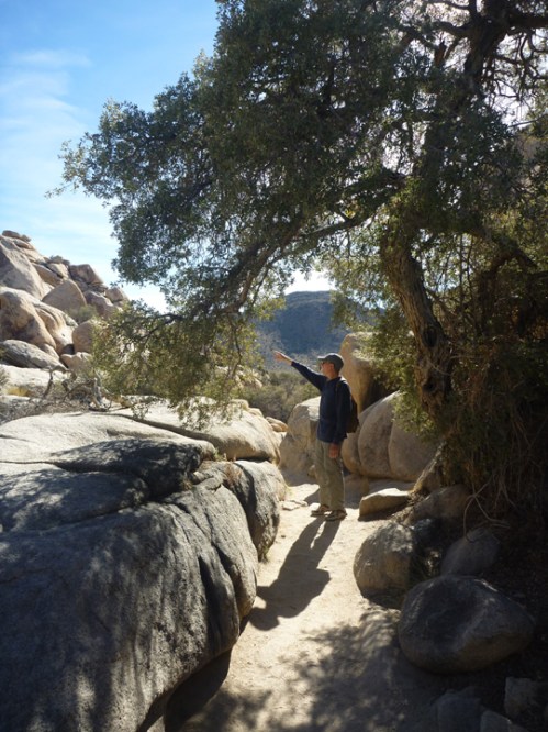JoshuaTree568