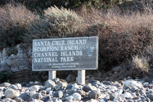SantaCruzIsland4279