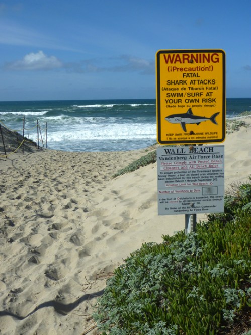 VandenbergWallBeach0992