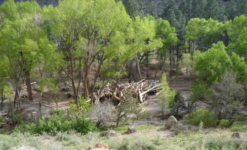 Bandelier0993