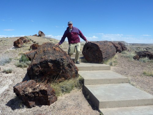 PetrifiedForest0517