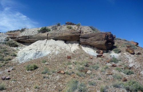 PetrifiedForest0518