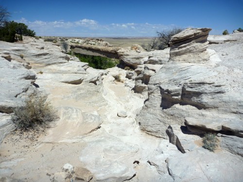 PetrifiedForest0551