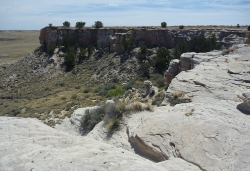 PetrifiedForest0555