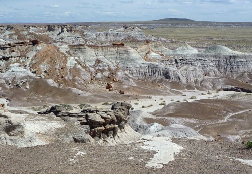 PetrifiedForest0556