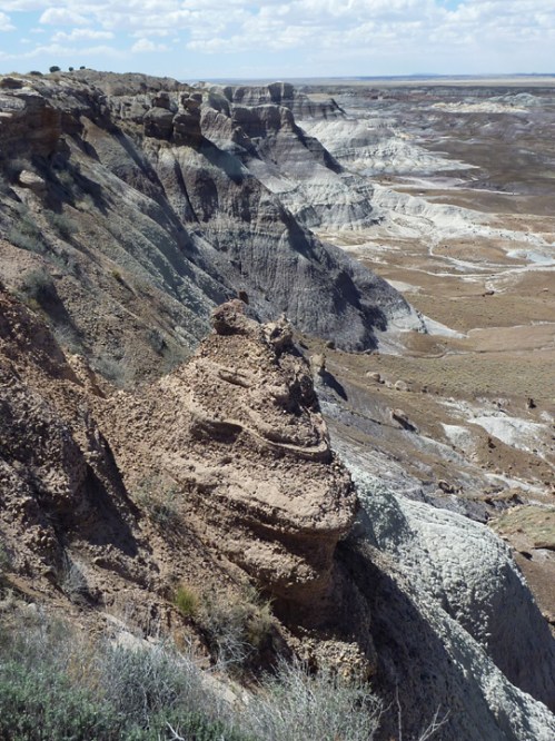 PetrifiedForest0575