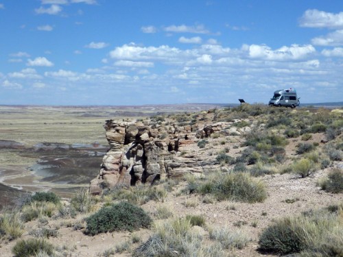 PetrifiedForest0576