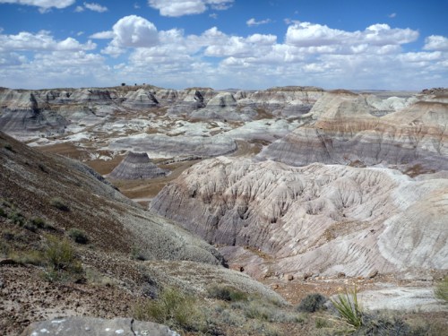 PetrifiedForest0577
