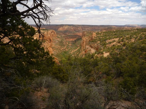 NavajoNatlMonument0562