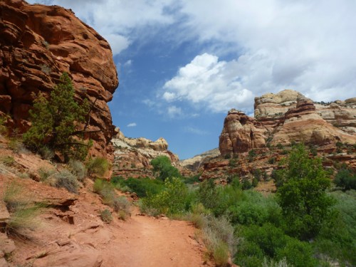 CalfCreekLowerFalls0698