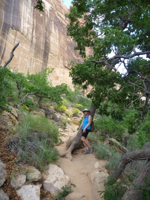 CalfCreekLowerFalls0719