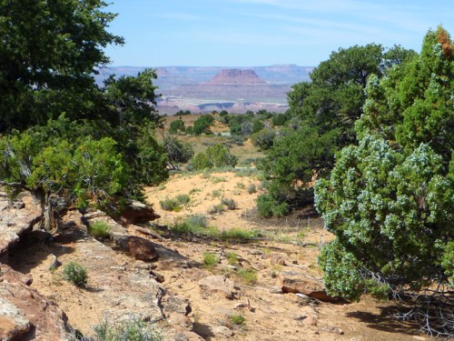 Canyonlands0384