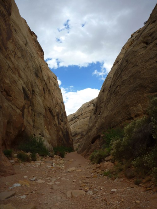 CapitolReef0937