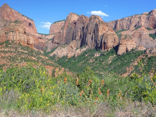 KolobCanyonsZion0092