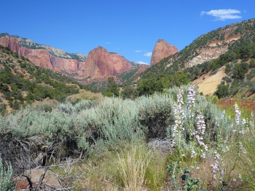 KolobCanyonsZion0120