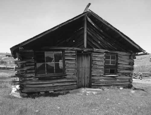 PanguitchLake0204Gray