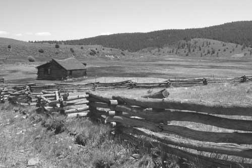 PanguitchLake0211Gray