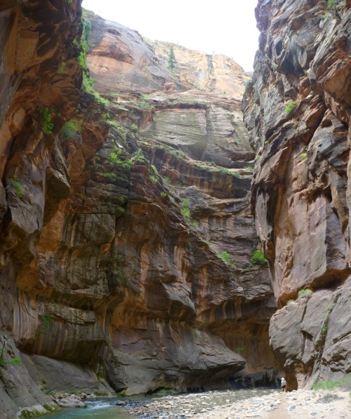 Zion Narrows Hike 2VL