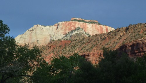 Zion0505