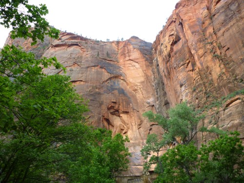 Zion0508