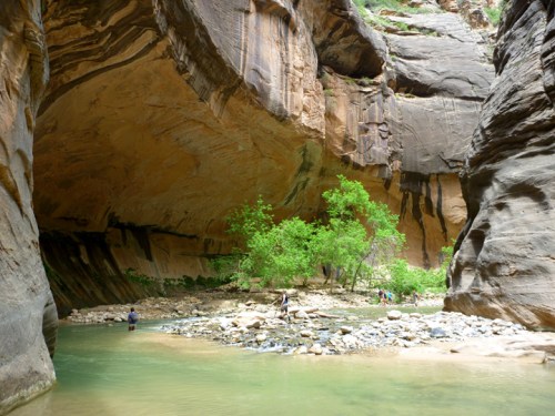 Zion0567