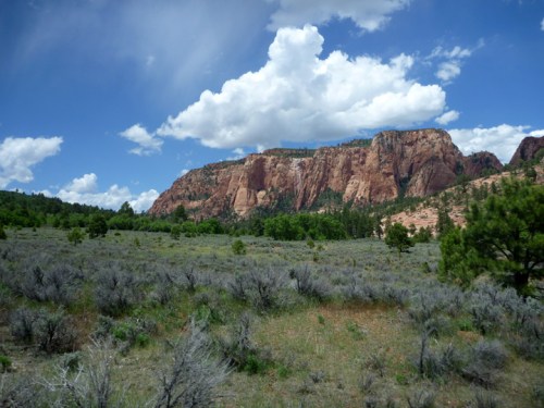 ZionKolobTerrace0649