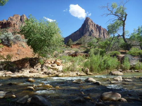 ZionVirginRiverBeach0707