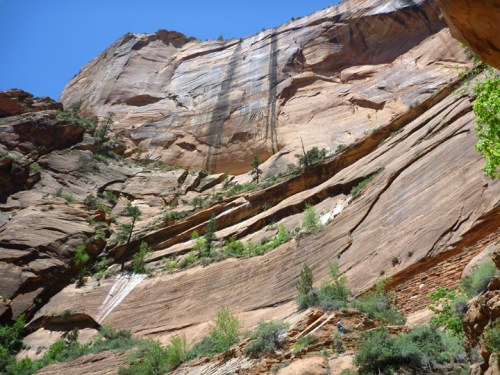 ZionWestRimTrail0676