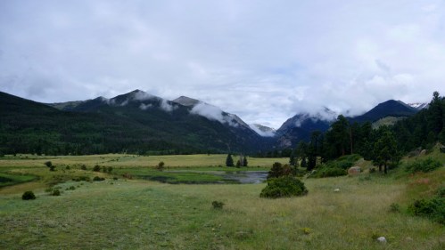 RMNPSheep Lake crp