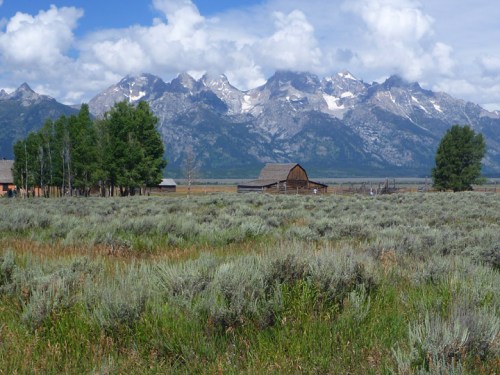 Tetons0819