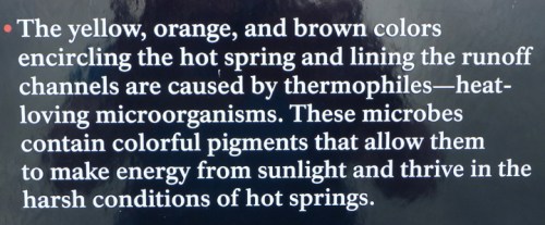 YellowstoneGrandPrismaticSpring0272