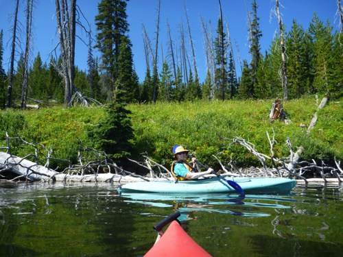 YellowstoneLewisLake0001