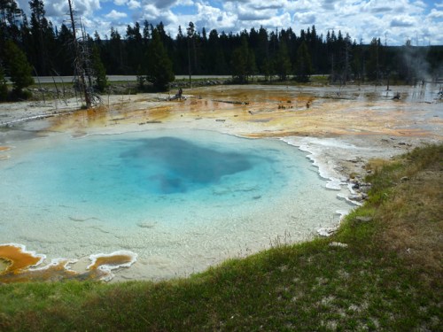 YellowstoneLowerGeyserBasin0293