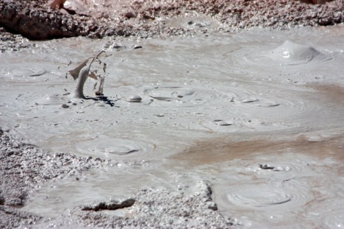 YellowstoneLowerGeyserBasin5089