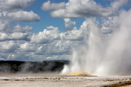 YellowstoneLowerGeyserBasin5115
