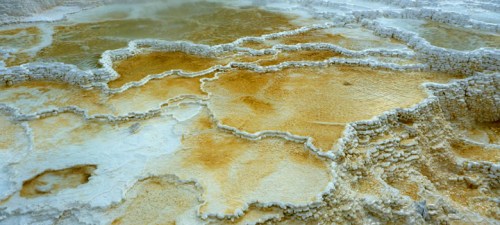 YellowstoneMammothHotSprings0557