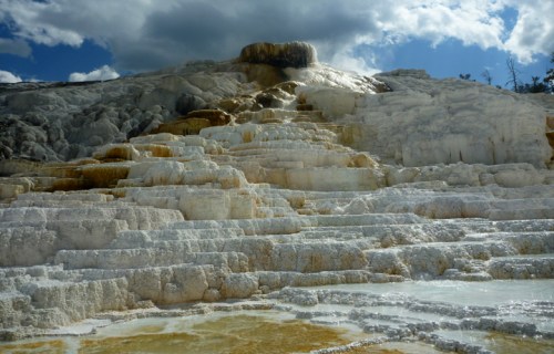 YellowstoneMammothHotSprings0560