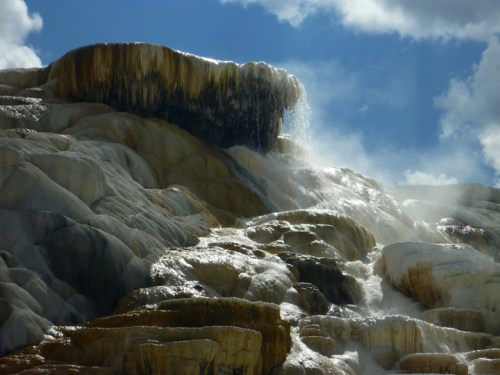 YellowstoneMammothHotSprings0565