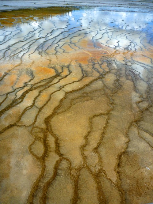 YellowstoneMidwayGeyserBasin0273