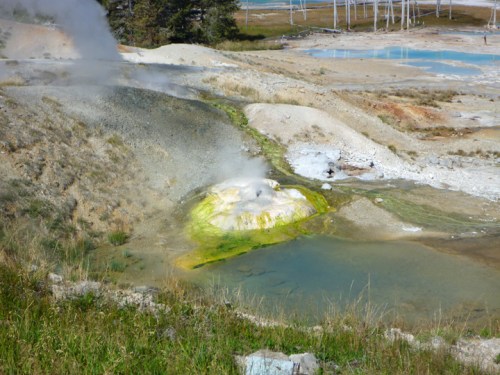 YellowstoneNorrisGeyserBasin0488