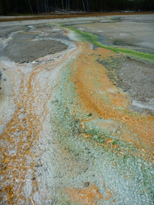 YellowstoneNorrisGeyserBasin0501